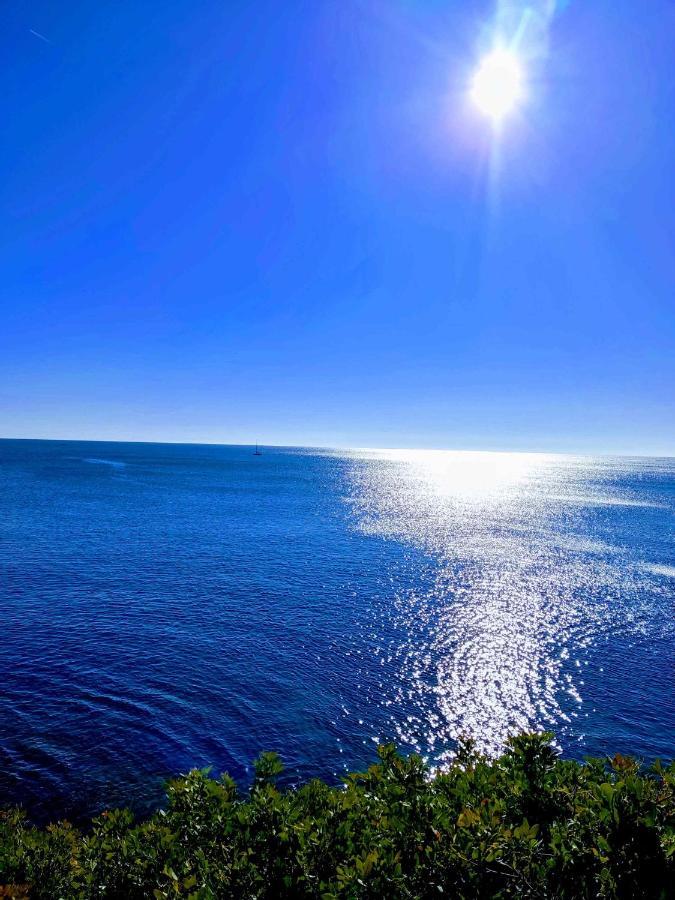 Апартаменти Perla De Mar Л'Амеля-да-Мар Екстер'єр фото